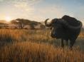 theHunter: Call of the Wild offers up 2019 edition