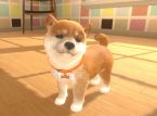 Little Friends: Dogs and Cats - Hands-On