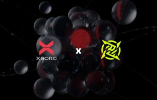 Ninjas in Pyjamas partners with Web3 firm XBorg