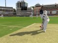 Ashes Cricket 2013 download removed